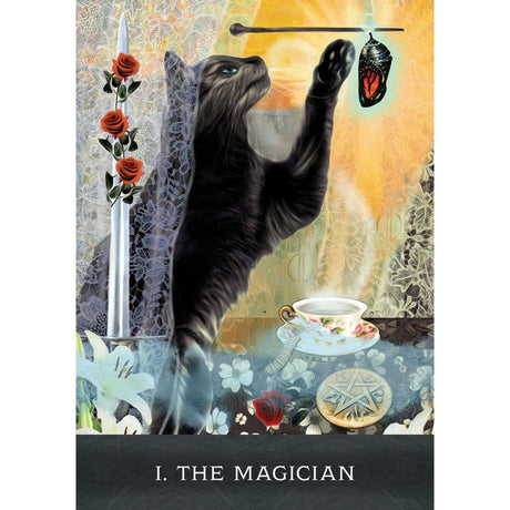 Grimalkin's Curious Cats Tarot by MJ Cullinane - Magick Magick.com