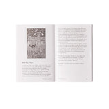 Halloween Tarot Deck & Book Set by Kipling West - Magick Magick.com