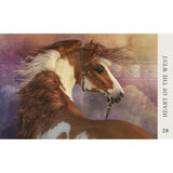 Horse Wisdom Oracle by Kathy Pike, Laurie Prindle - Magick Magick.com