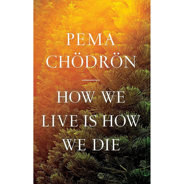 How We Live Is How We Die by Pema Chodron - Magick Magick.com