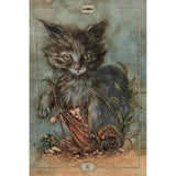 Hush Tarot by Jeremy Hush - Magick Magick.com