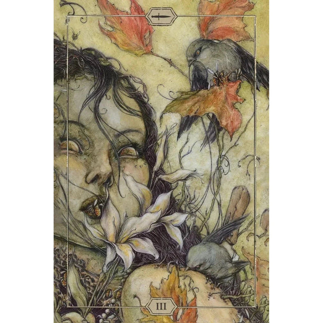 Hush Tarot by Jeremy Hush - Magick Magick.com