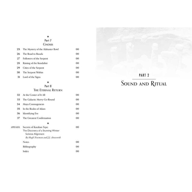 Karahan Tepe: Civilization of the Anunnaki and the Cosmic Origins of the Serpent of Eden by Andrew Collins - Magick Magick.com