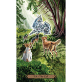 Magical Dogs Tarot by Mickie Mueller, Dan Mueller - Magick Magick.com