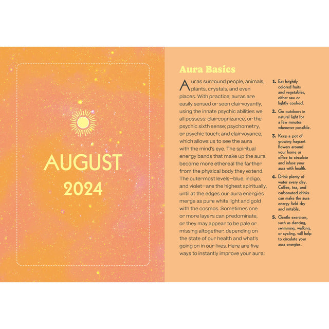 Modern Mystic 17-Month 2025 Planner by Union Square & Co. - Magick Magick.com