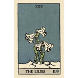 Pixie's Astounding Lenormand in a Tin by Edmund Zebrowski, Pamela Colman Smith - Magick Magick.com