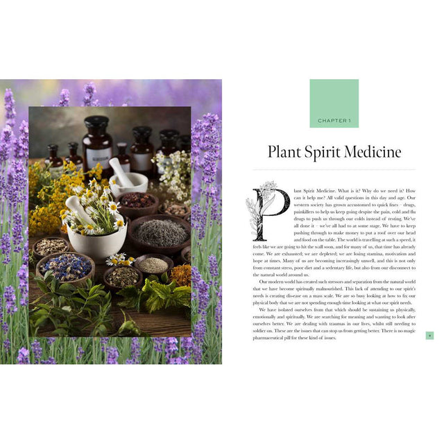 Plant Spirit Medicine (Hardcover) by Nicola McIntosh - Magick Magick.com