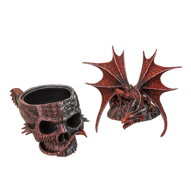 Serpent Infection Skull with Red Dragon Display Box - Magick Magick.com