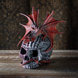 Serpent Infection Skull with Red Dragon Display Box - Magick Magick.com