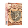 Shaman Wisdom Cards by Leita Richesson - Magick Magick.com