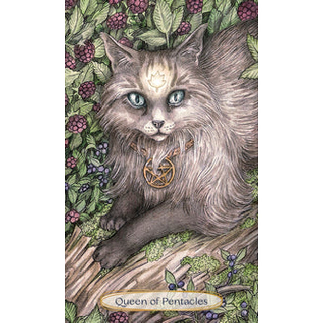 Soul Cats Tarot by Leeza Robertson, Adam Oehlers - Magick Magick.com