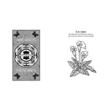 Tarot de los espíritus de la naturaleza by Jean Marie Herzel - Magick Magick.com