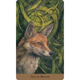 Tarot of the Hidden Realm by Julia Jeffrey, Barbara Moore - Magick Magick.com