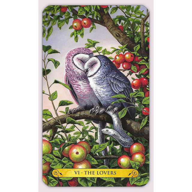 Tarot of the Owls by Pamela Chen, Elisabeth Alba - Magick Magick.com