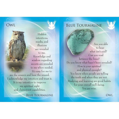 The Animal Allies and Gemstone Guardians Cards by Margaret Ann Lembo, Richard Crookes - Magick Magick.com