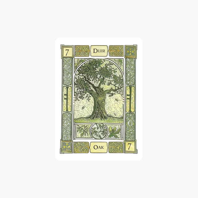 The Celtic Tree Oracle by Colin Murray, Liz Murray, Vanessa Card - Magick Magick.com