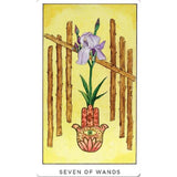 The Radiant Tarot by Alexandra Eldridge, Tony Barnstone - Magick Magick.com