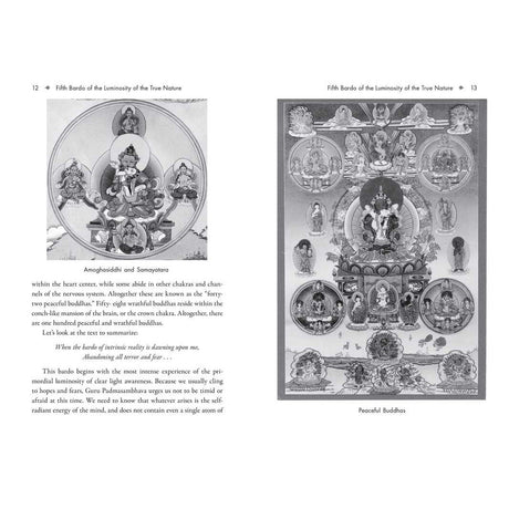 The Six Bardos of the Tibetan Book of the Dead by Khenchen Palden Sherab Rinpoche, Khenpo Tsewang Dongyal Rinpoche - Magick Magick.com