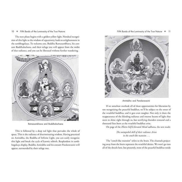 The Six Bardos of the Tibetan Book of the Dead by Khenchen Palden Sherab Rinpoche, Khenpo Tsewang Dongyal Rinpoche - Magick Magick.com