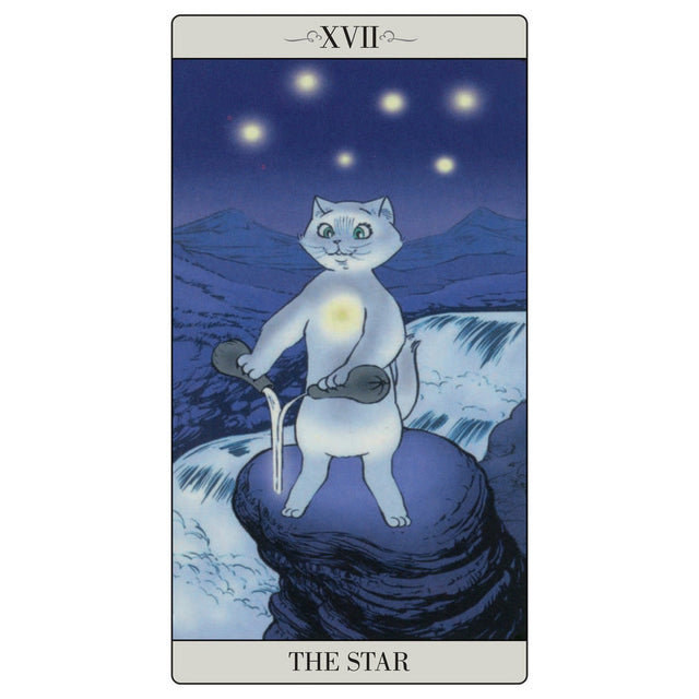 The Way Jodorowsky Explained Tarot to his Cat Deck by Jodorowsky, Christian Gaudin - Magick Magick.com