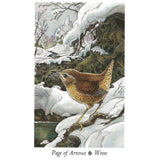 The Wildwood Tarot: Wherein Wisdom Resides by Mark Ryan, John Matthews, Will Worthington - Magick Magick.com