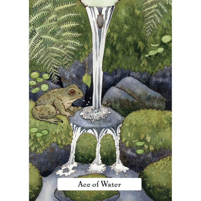 The Witches' Wisdom Tarot (Standard Edition) by Phyllis Curott, Danielle Barlow - Magick Magick.com