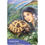 The Zen of Animals Deck by Pamela Matthews - Magick Magick.com