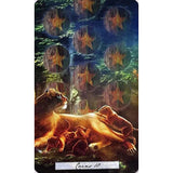 Uncommon Tarot by Shaheen Miro, Theresa Reed - Magick Magick.com