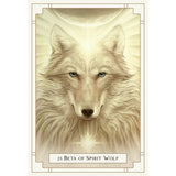 White Light Oracle by Alana Fairchild, A. Andrew Gonzalez - Magick Magick.com