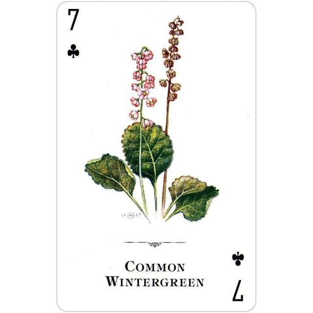 Wildflowers of the Natural World Playing Cards by U.S. Game Systems, Inc. - Magick Magick.com