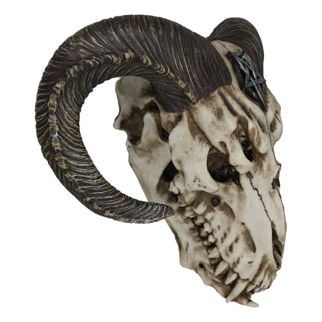 10.5" Ram Skull with Pentagram Wall Statue - Magick Magick.com