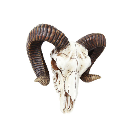 11" Ram Skull Statue - Magick Magick.com