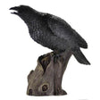12" Raven Statue - Magick Magick.com