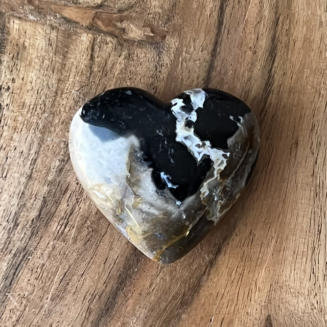 2” Puffed Gemstone Heart - Fossilized Palm Root - Magick Magick.com