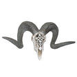20" Carved Ram Skull Statue - Magick Magick.com