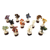 2.5" Gemstone Trees (Pack of 12) - Magick Magick.com