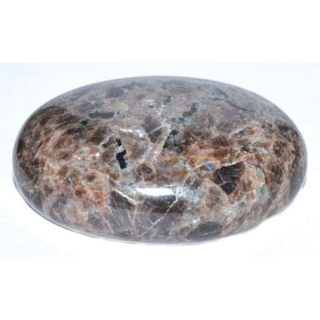 2.5" Palm Stone - Larvikite - Magick Magick.com