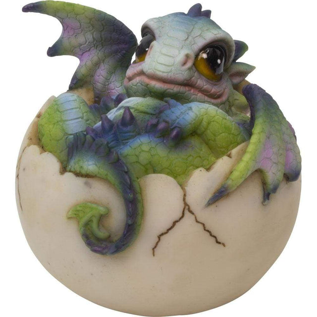 3.5" Polyresin Baby Dragon Figurine - Peeking from Egg - Magick Magick.com