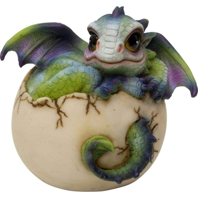 3.5" Polyresin Hatching Dragon Figurine - Chilling - Magick Magick.com