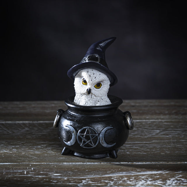 4" Owl with Witch Hat in Cauldron Statue - Magick Magick.com