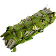 4" White Sage & Baby Eucalyptus Smudge Stick - Magick Magick.com