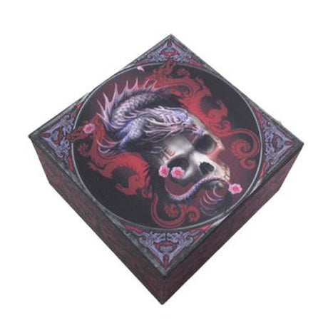 4" x 6" Dragon on Skull Display Box - Magick Magick.com