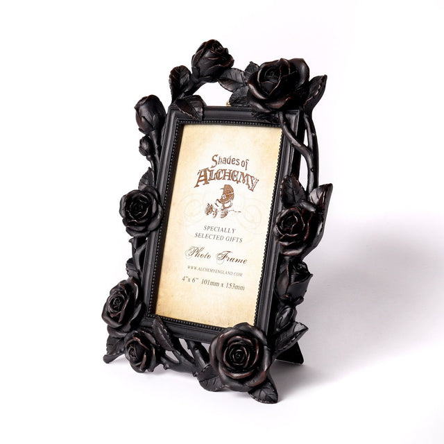 4" x 6" Rose & Vine Photo Frame - Magick Magick.com