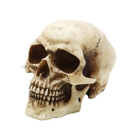 4.5" Skull Statue - Magick Magick.com