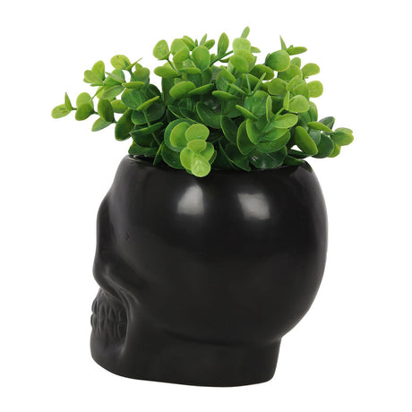 4.7" Black Skull Ceramic Planter Pot - Magick Magick.com