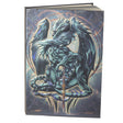 5" x 7" Hardcover Journal - Terra Blade Dragon - Magick Magick.com