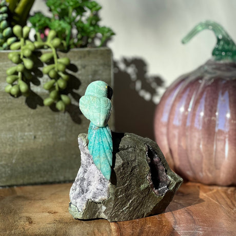 6" Amazonite Carved Bird on Amethyst Geode from Brazil - Magick Magick.com