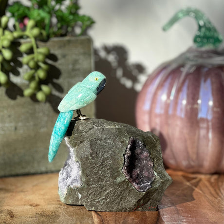 6" Amazonite Carved Bird on Amethyst Geode from Brazil - Magick Magick.com