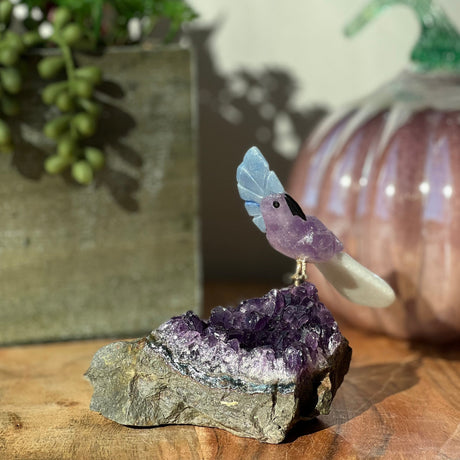 6" Amethyst, Blue Aventurine & White Aventurine Carved Bird on Amethyst Geode from Brazil - Magick Magick.com