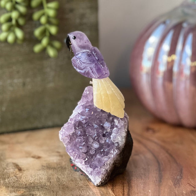6" Amethyst & Yellow Calcite Carved Bird on Amethyst Geode from Brazil - Magick Magick.com